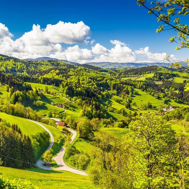 Schwarzwald