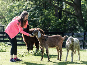 Einfach mal raus - im Winter in den Spreewald