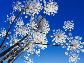 Winterzeit-Glühweinzeit