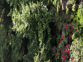 4 Tage Zwischendurchurlaub im Sauerland  