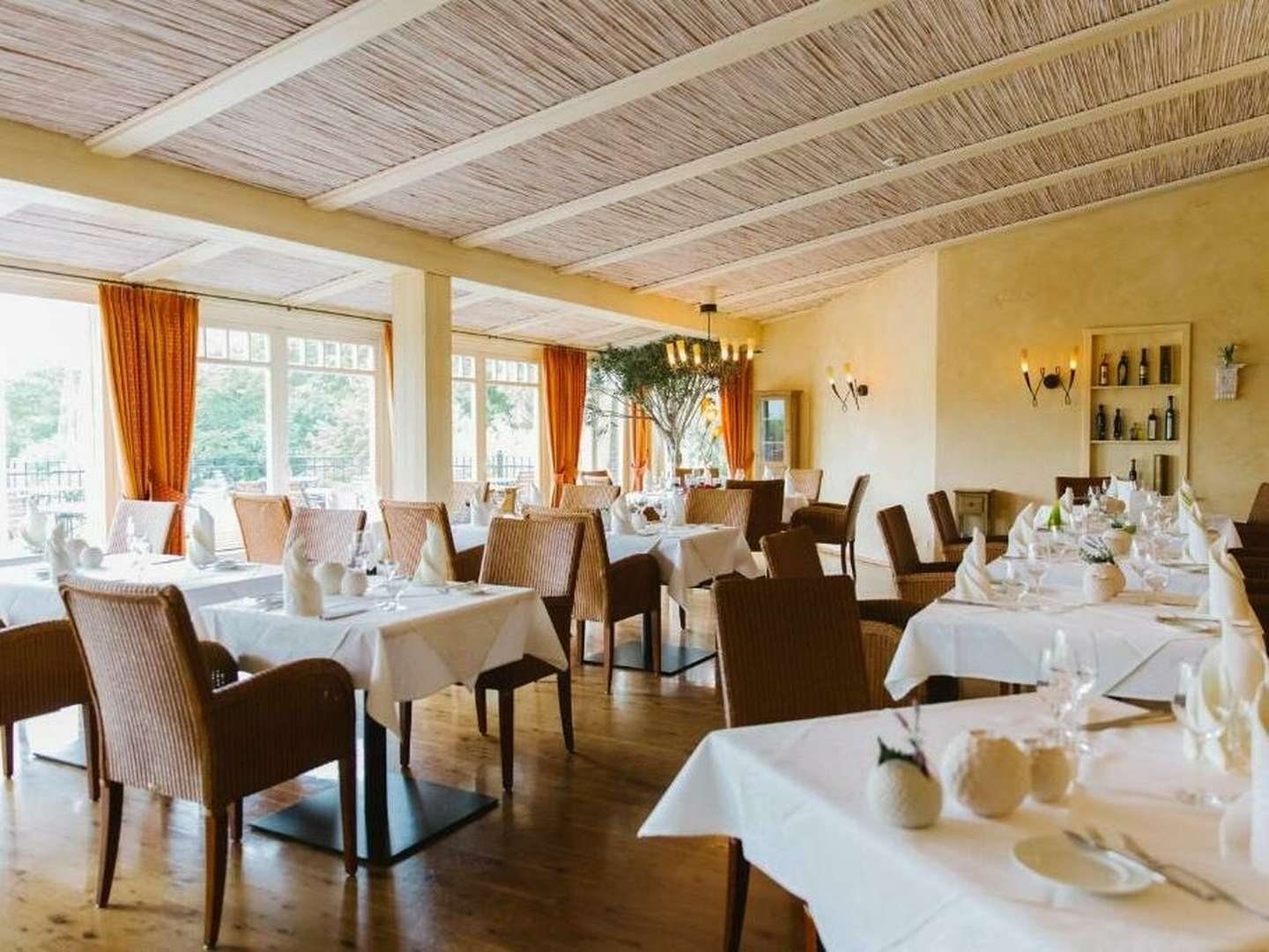 Kurze Harz-Auszeit im Ilsetal