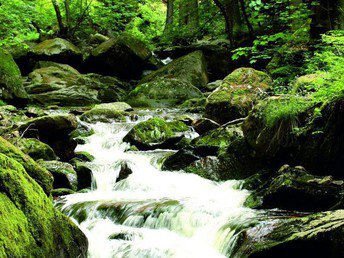 Kurze Harz-Auszeit im Ilsetal