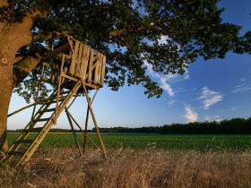Zweisamkeit - Wellnessauszeit für Verliebte