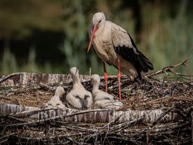 Zweisamkeit - Wellnessauszeit für Verliebte