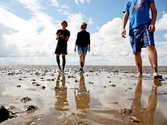  Strände und Wattenmeer - 6 Tage Natur an der Nordsee genießen