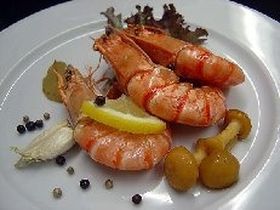 Nordseeküste Wattenmeer -  3 Tage Natur an der Nordsee genießen