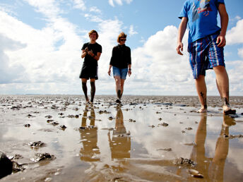  Strände und Wattenmeer - 6 Tage Natur an der Nordsee genießen