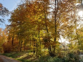 Entspanntes Herbstwochenende mit Vital Oase in Hessen