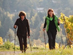 Wellness schnuppern in der Pfalz | 3 Tage inkl. HP und Wellnessanwendungen