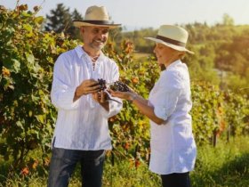 Wellness schnuppern in der Pfalz | 3 Tage inkl. HP und Wellnessanwendungen