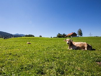 Allgäu Urlaub - 3 Nächte/4 Tage