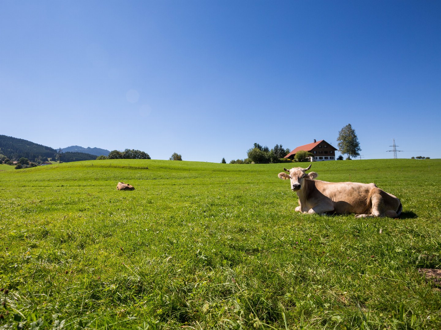 Allgäu Urlaub - 3 Nächte/4 Tage