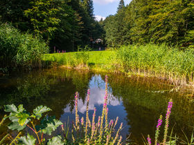 Kleine Auszeit in der Waldmühle - Schnuppertage