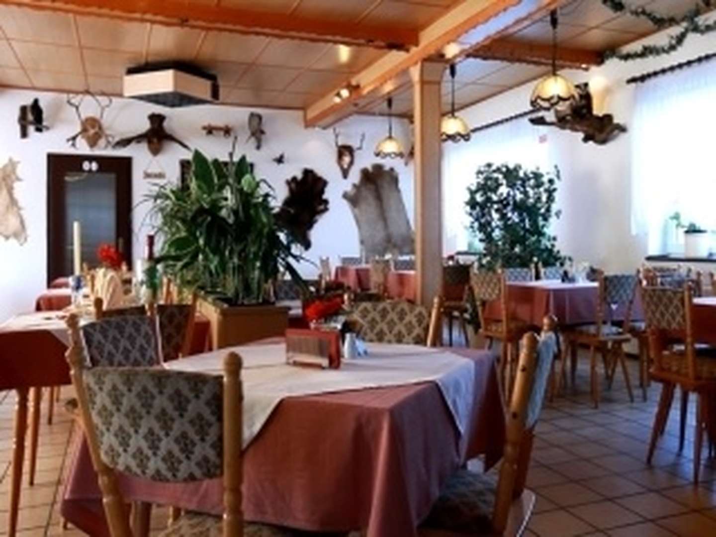 Check In für 1 Nacht in Meißen