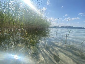 Fahrradurlaub am Plauer See inkl. Lunchpaket & Leihfahrrad 5 Tage