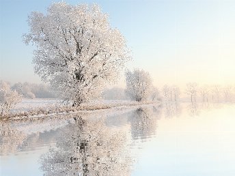 Wintertage am Plauer See 2025 | 7 Tage