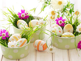Schönes Land in Sicht! Ostern in Bad Zwischenahn