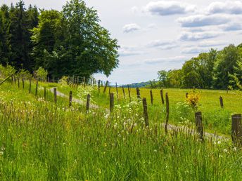 Wir bleiben in Deutschland - 3 Tage Urlaub im Oberbergischen Land