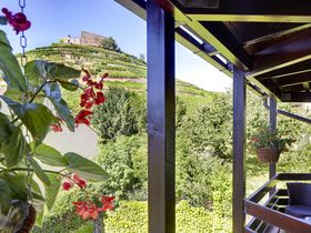 Bezaubernde Tage im Schwarzwald mit romantischem 7 Gang Menü