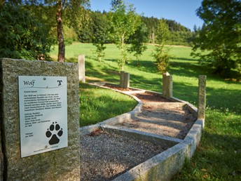 Bild 18 von 26