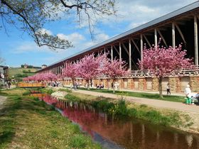 Wanderlust - zu Fuß durch die Pfalz