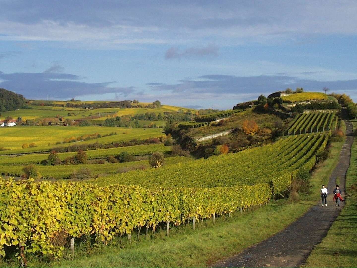 Wohlfühl-Urlaub in der Pfalz - 4 Tage 