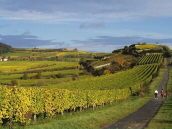 Vital Woche in der Pfalz 