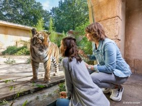 2 Tage | Familienzeit in der Region Hannover - Mit Besuch im ZOO 