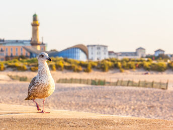 3 Tage Wellnessauszeit im Frühling zu Zweit in Rostock