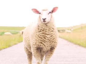 Kleine Winterflucht nach Nordfriesland