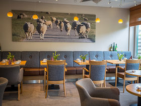 Nordisches Sommervergnügen