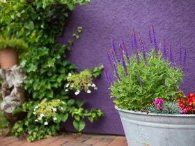 Nordisches Sommervergnügen