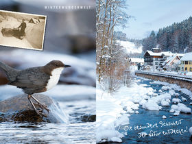 Winterschnäppchen | Raus aus dem Alltag!