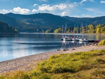 Schwarzwaldseen & Traumlocations