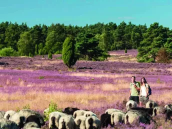 Alles was ich brauch- 5 Tage in der Lüneburger Heide inkl. Halbpension