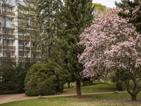 Wandern und genießen in Bad Kreuznach