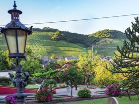 Sorgenfreie Weihnachten an der Mosel - Zwischen den Jahren