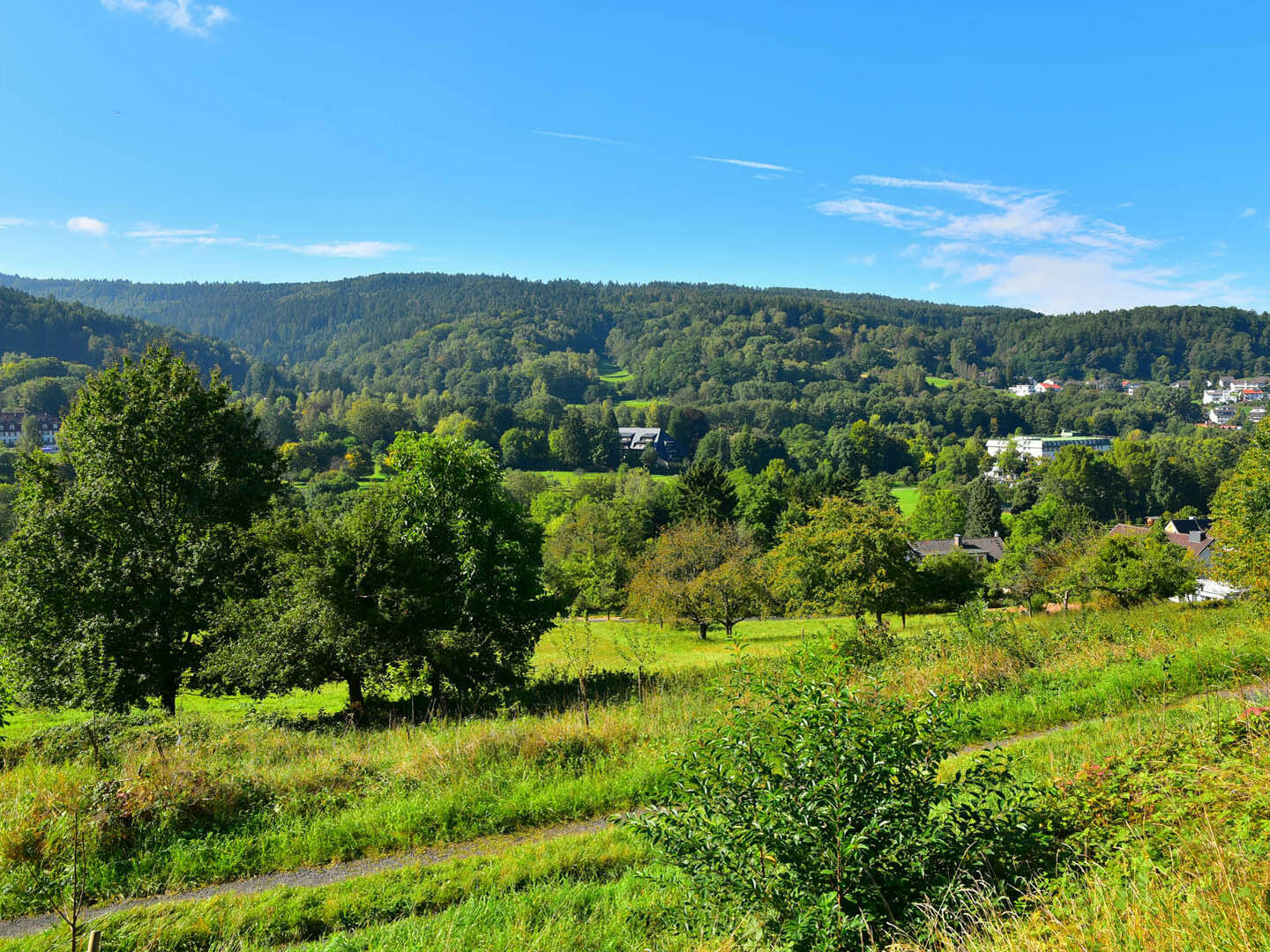 Kurzurlaub inkl. Frühstück im Vogelsberg-Spessart – Erholen Sie sich in idyllischer Natur |2 Tage 