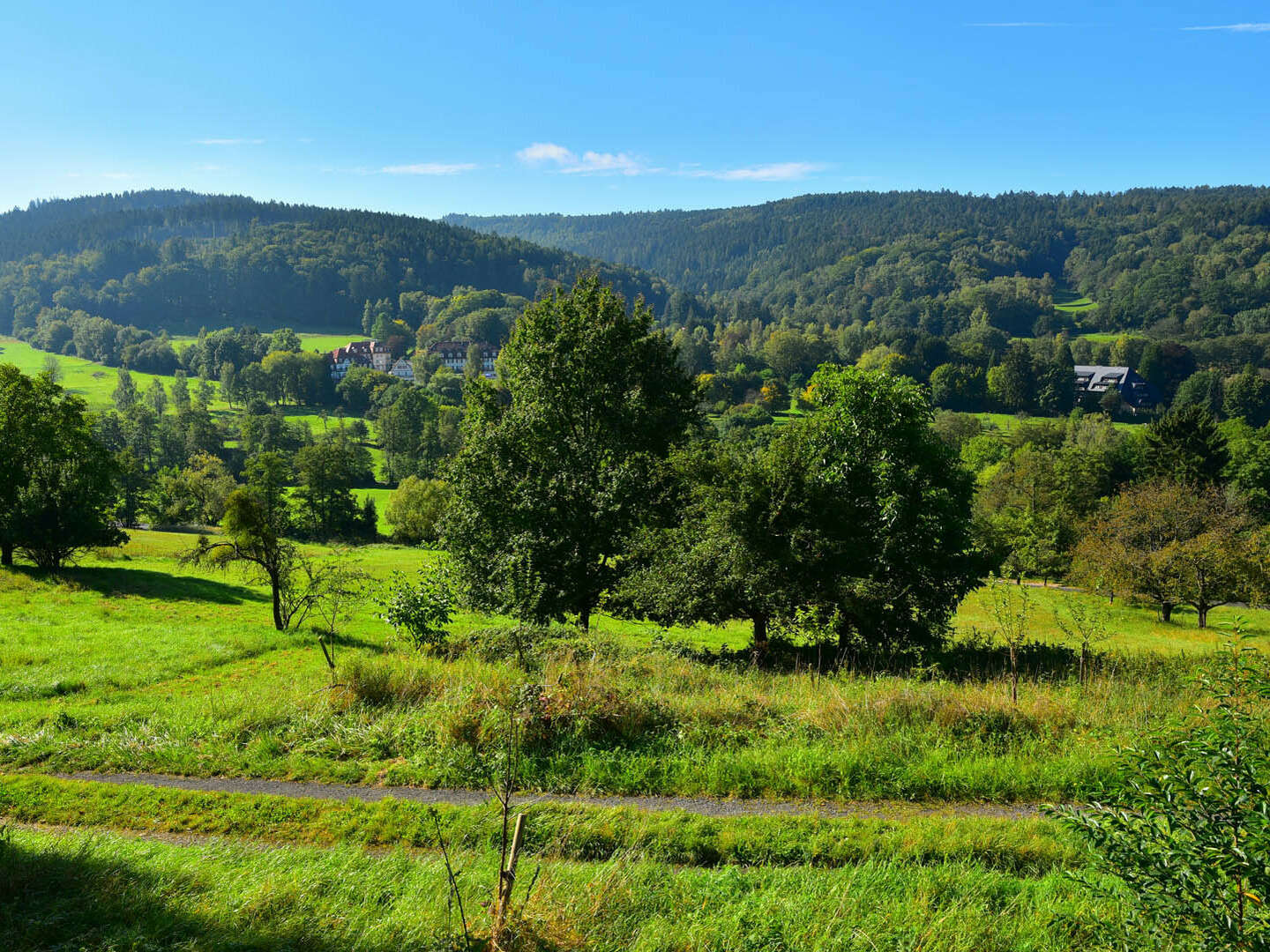 Kurzurlaub inkl. Frühstück im Vogelsberg-Spessart – Erholen Sie sich in idyllischer Natur |2 Tage 
