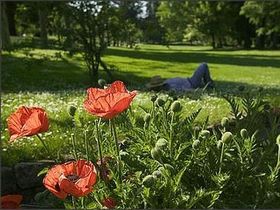 Moments of  Wellness - kleines Tagesprogramm in Bad Orb