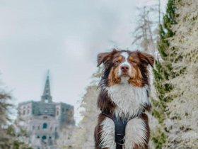 3 Tage - Genuss & Kurven – Motorradtour auf der Märchenstraße  2