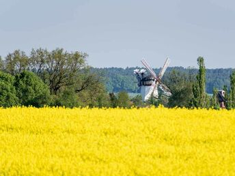 Bild 19 von 36