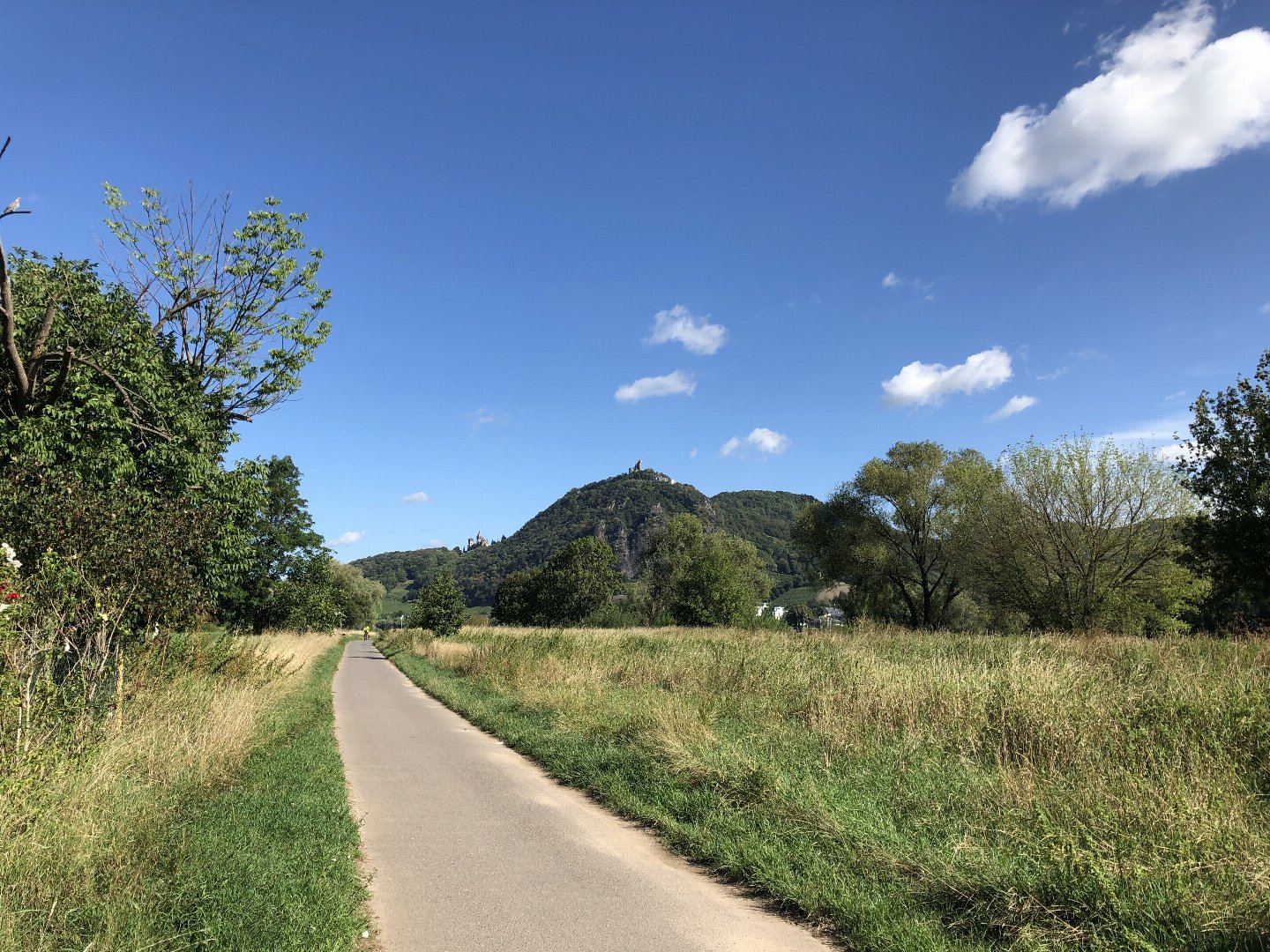 3 Tage Genussurlaub am Rhein inkl. Schifffahrt & Halbpension