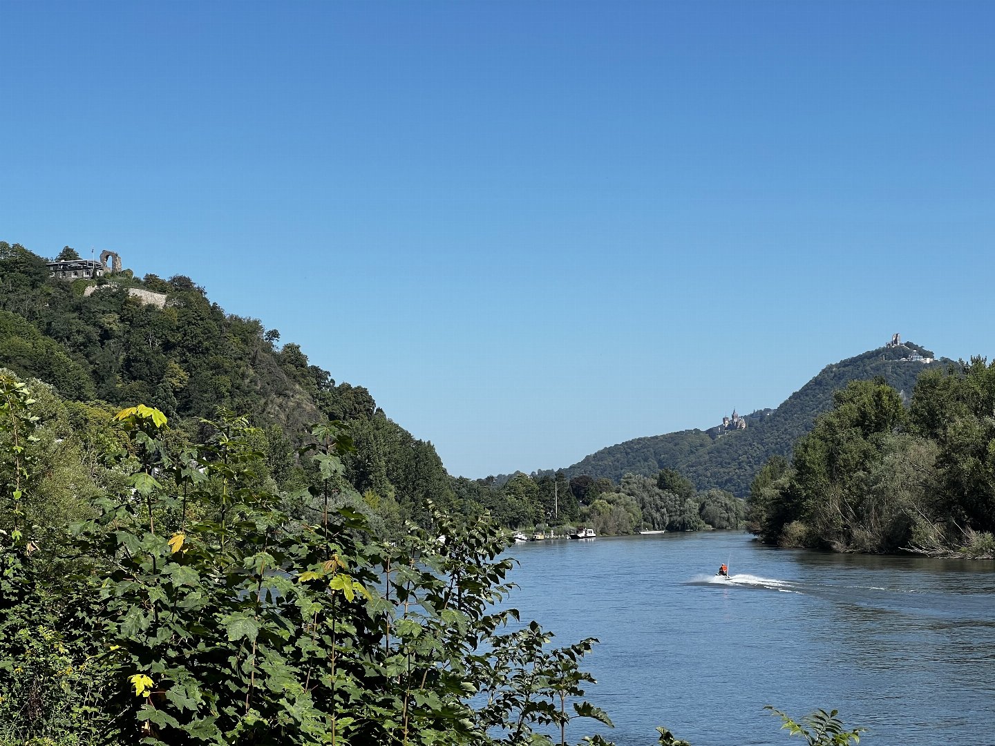 3 Tage Genussurlaub am Rhein inkl. Schifffahrt & Halbpension