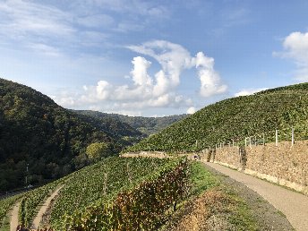 3 Tage Genussurlaub am Rhein inkl. Schifffahrt & Halbpension
