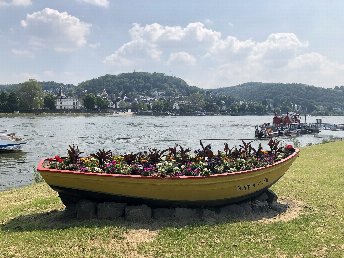 3 Tage Genussurlaub am Rhein inkl. Schifffahrt & Halbpension