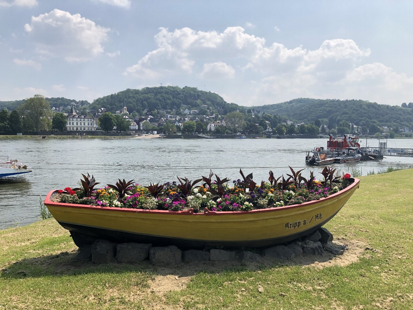 3 Tage Genussurlaub am Rhein inkl. Schifffahrt & Halbpension
