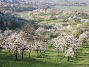 Bild 21 von 22