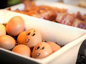 Silvester in der Kurpfalz 2 Tage (Nähe Heidelberg) 