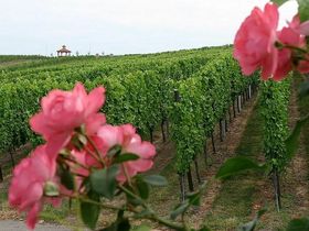 Silvester in der Kurpfalz 2 Tage (Nähe Heidelberg) 